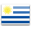 country flag