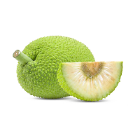 Breadfruit