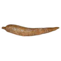 Cassaba