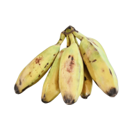 Cocoy Banana