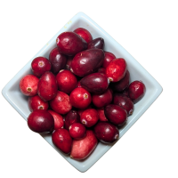 Cranberry
