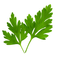 Freshly Chopped Parsley