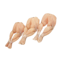 Frogs Legs