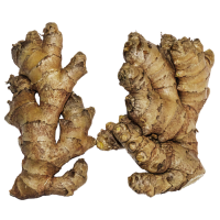 Galangal