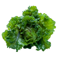 Kale