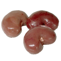 Lamb Kidney