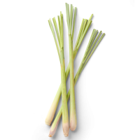 Lemongrass Stalks