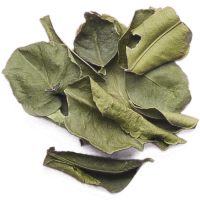 Lime Leaves