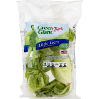 Little Gem Lettuce