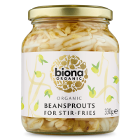Mung Bean Sprouts