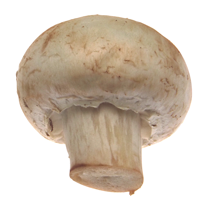 Calories in Mushrooms