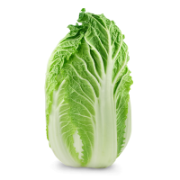 Napa Cabbage