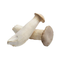 Oyster Mushrooms