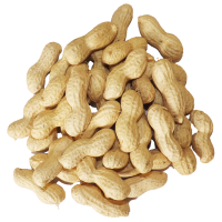 Peanuts