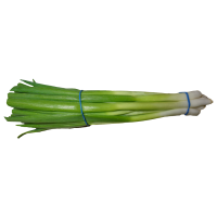 Scallions