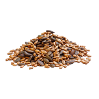 Seeds