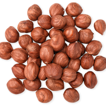 Shelled Hazelnuts