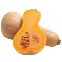 icon for Squash