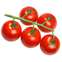 Vine Tomatoes