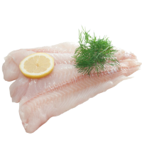 White Fish Fillets