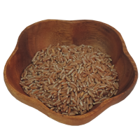 Pasta, Whole-wheat, cooked