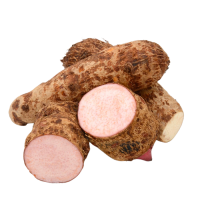 Yautia