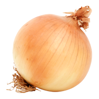 Yellow Onion