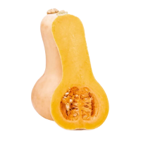 Zapallo Squash