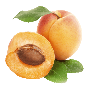 Apricot medium picture