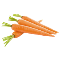 Carrots (in fine matchsticks)