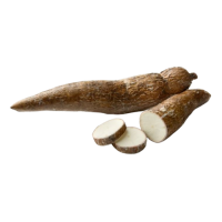 Cassava