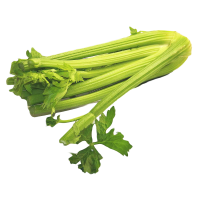 Celery