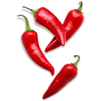 Chilli medium picture