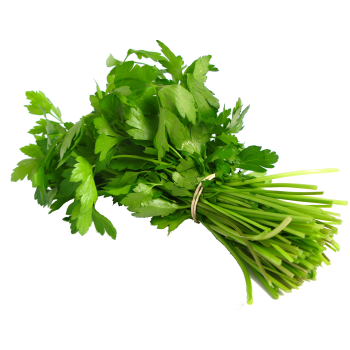 Coriander medium picture