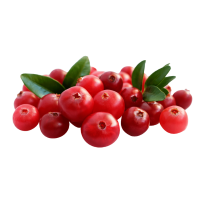 Dried cranberries