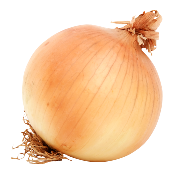 Onion medium picture
