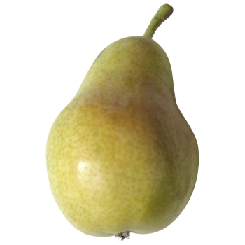 Pears medium picture