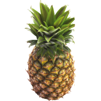 Pineapple (peeled)