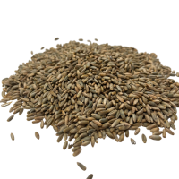 Rye