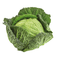 Savoy Cabbage