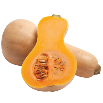 Squash medium picture