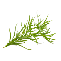Tarragon (for the savoury version)